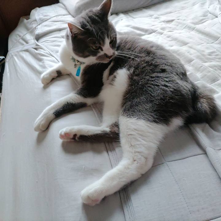 F81bb232 0021 496c 8712 0a4e3fdbdaa3 1684446255305