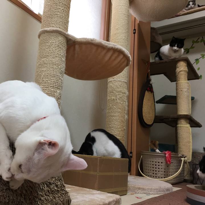 F81bf8da c841 45aa b8eb 4f1b892031a2 1509255157988