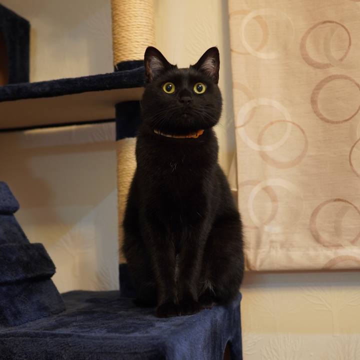 F81c149e 3dfa 4741 a338 33b728cb42c2 1592920384857