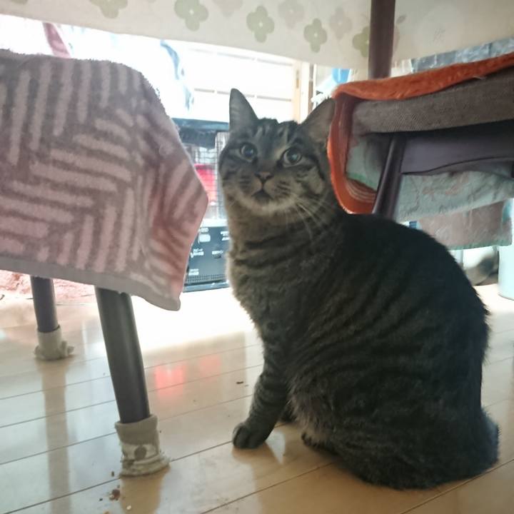 F81c5fb2 75a5 4aea bde4 f70d95ac00bc 1639256025729