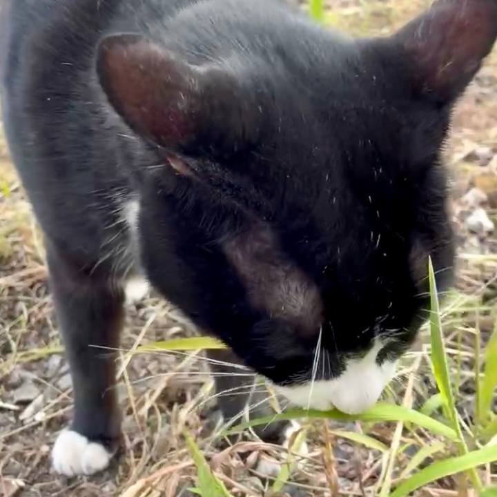 F81c6d27 dead 444e ba7a d7b134727630 1759218986102