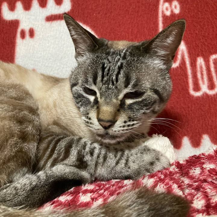 F81cb27e 5020 4aff a7d9 ae27bf27bb3c 1756041446782