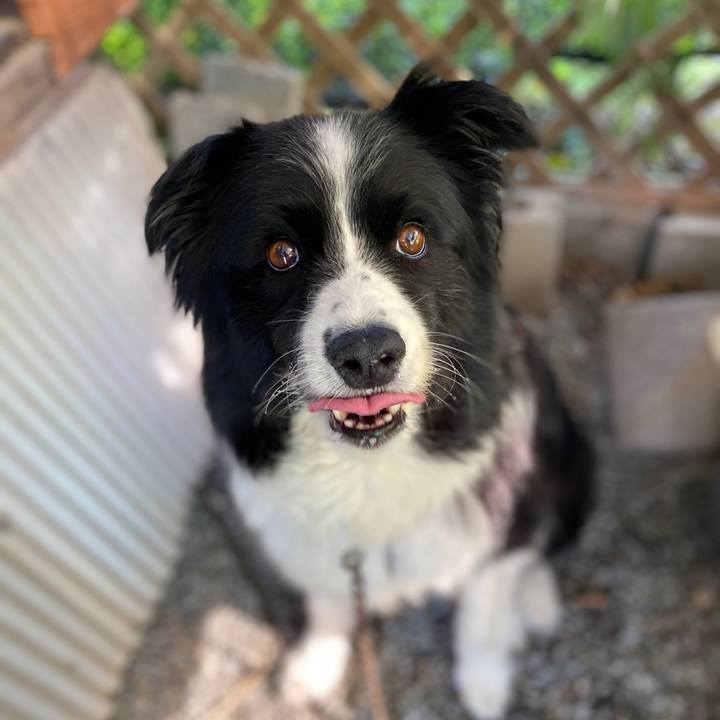 F81cb71e 48f2 4528 b327 d38608356bef 1598315456309