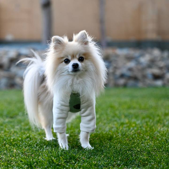 F81cce28 0d70 4f18 bdca e2741a9fca9a 1764493903189