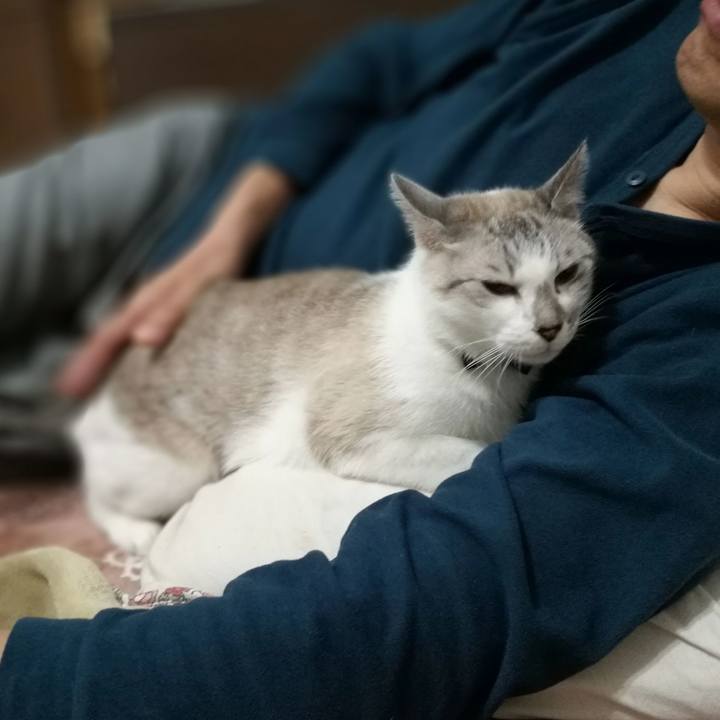 F81cf0f8 374d 4b59 a226 26444df3a859 1524487276877