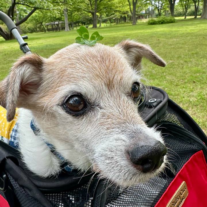 F81d85f8 73aa 4c67 b3fd 264750ea722f 1747361717635