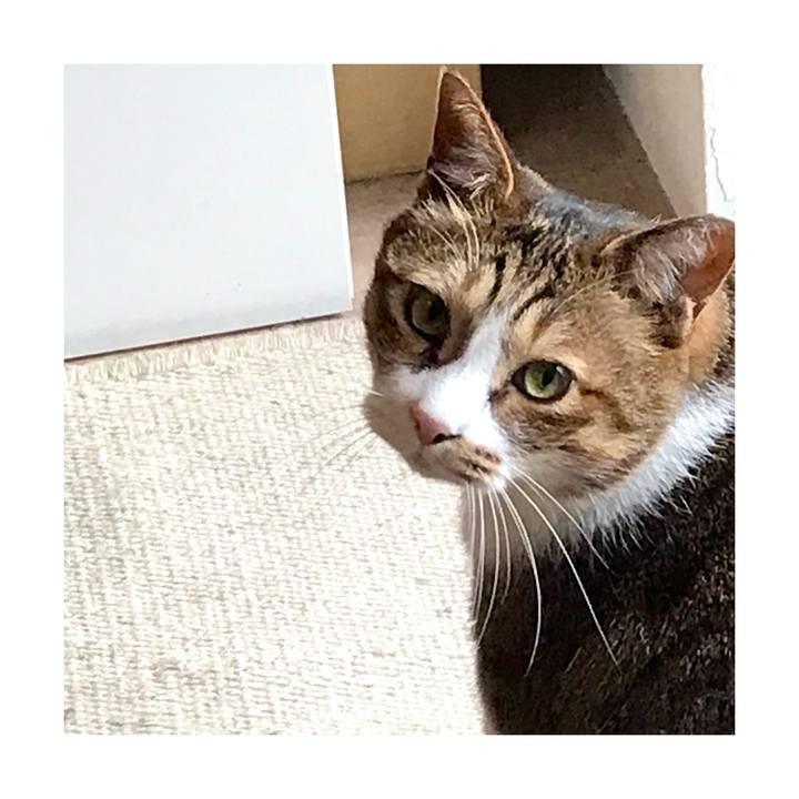 F81d880b b483 4bce a039 f2be36228e2f 1646730569162