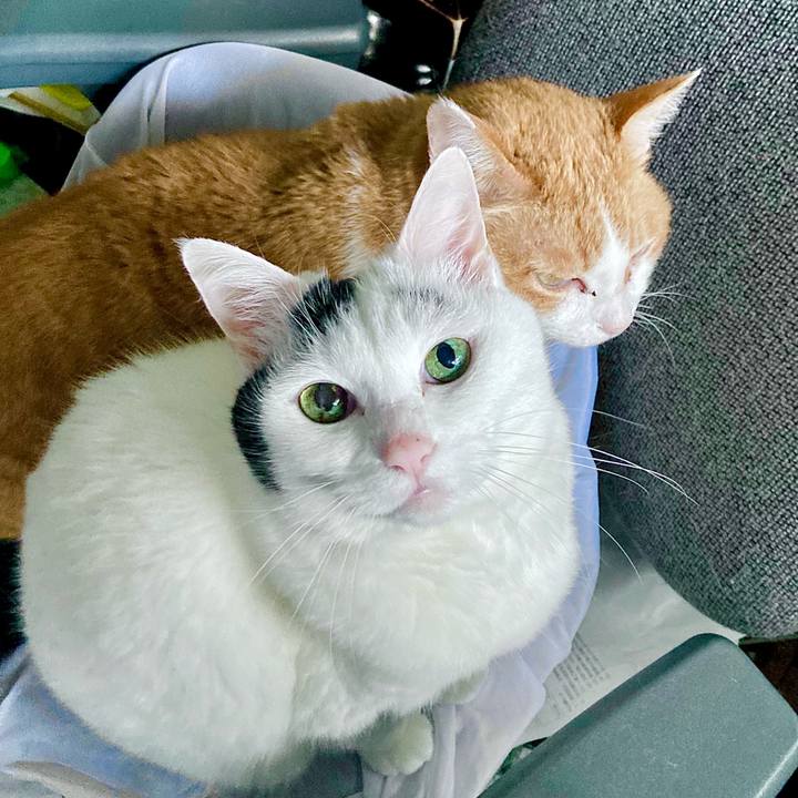 F81d92e6 338b 4147 9a1d ca435d2fcc8e 1685094022996