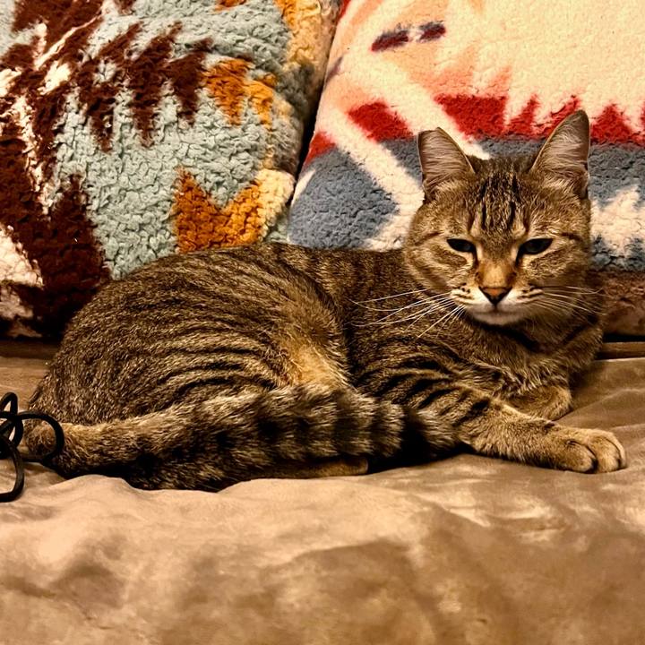 F81d99cf 3ad3 455c 81f2 bda9bf214997 1765377466686