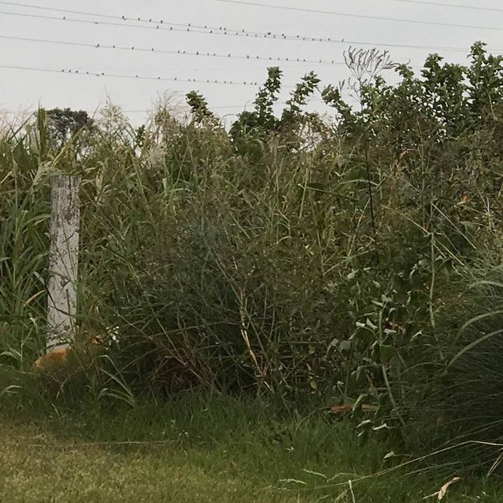 F81da393 e2b4 468e b415 eac5859ca586 1570197537607