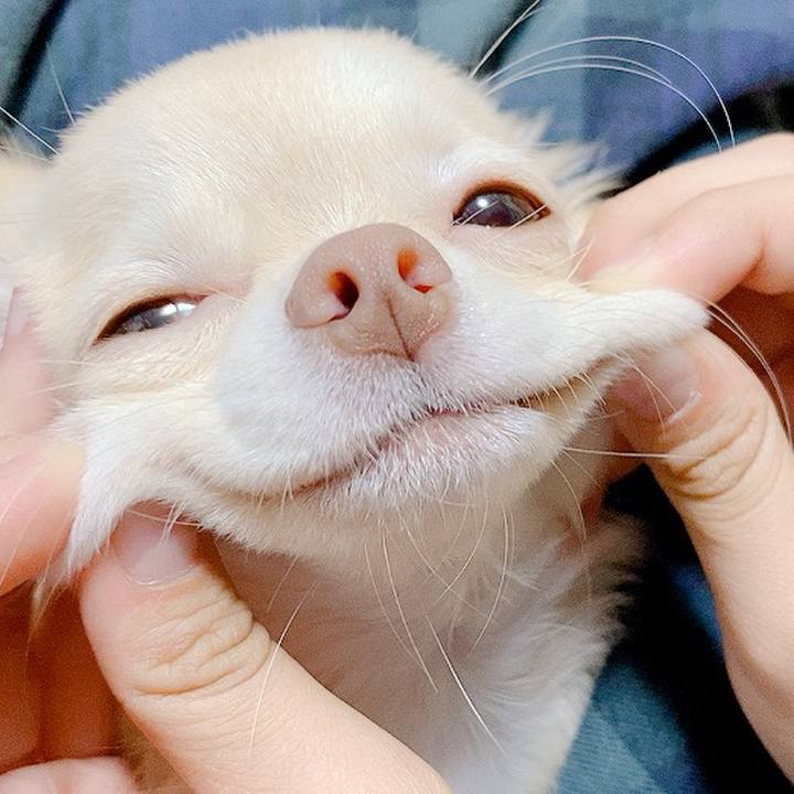 F81da6d3 a662 42d5 a383 c5a580814f53 1601364492198