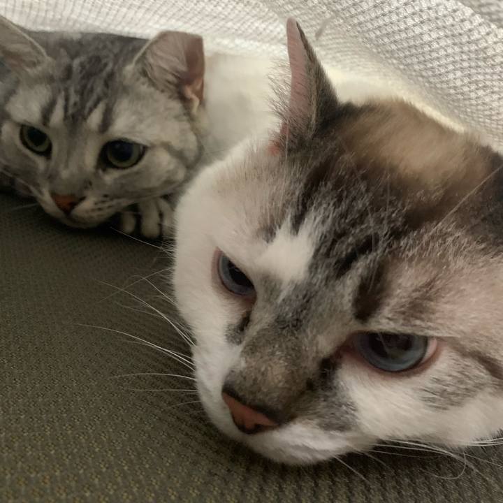 F81dd6ac 3996 478d b762 952918ba4974 1659353810554