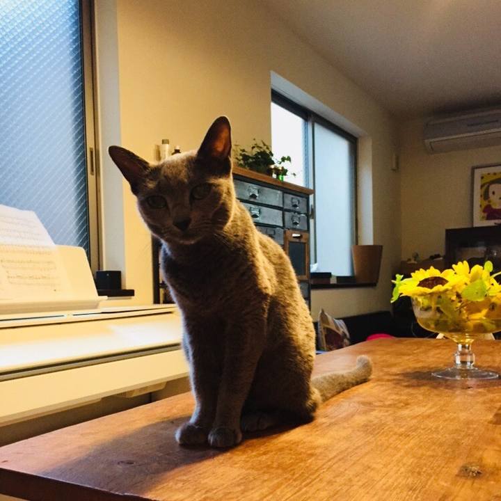 F81dd87b 25ae 4f09 be63 a909b2708aa4 1534201877184