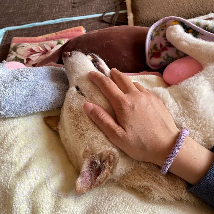 F81e31c5 4d24 49cf a607 4f7a977700b2 1677649751871