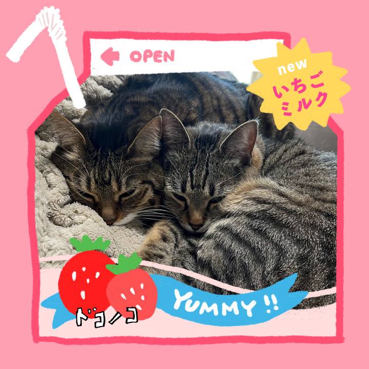 F81e39a1 ed62 4843 897d 497f7ca15f6d 1711194238826