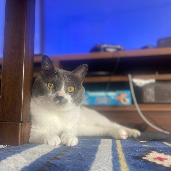 F81e563d 8c53 4e24 af45 780cedc3a4a8 1634689045006