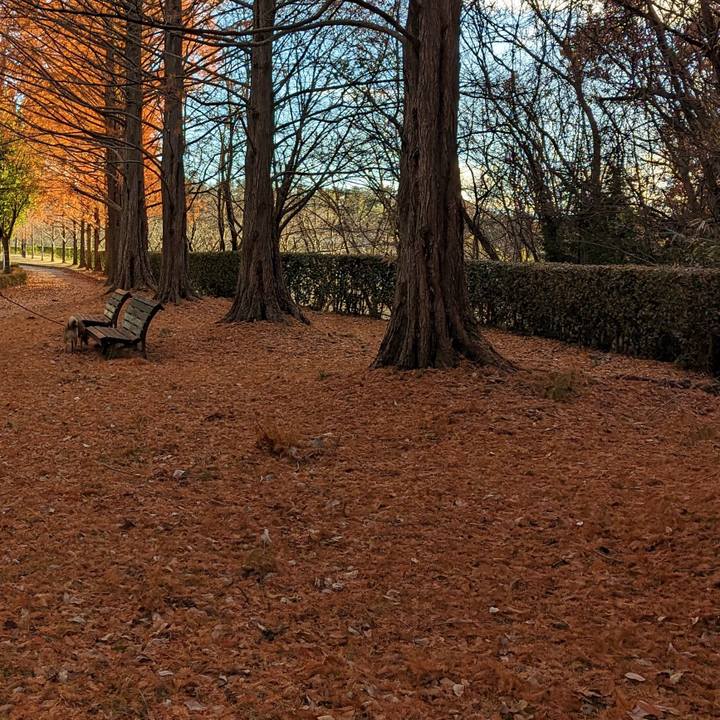 F81e5712 a797 4558 a6f4 811ffa2110d8 1701504027643