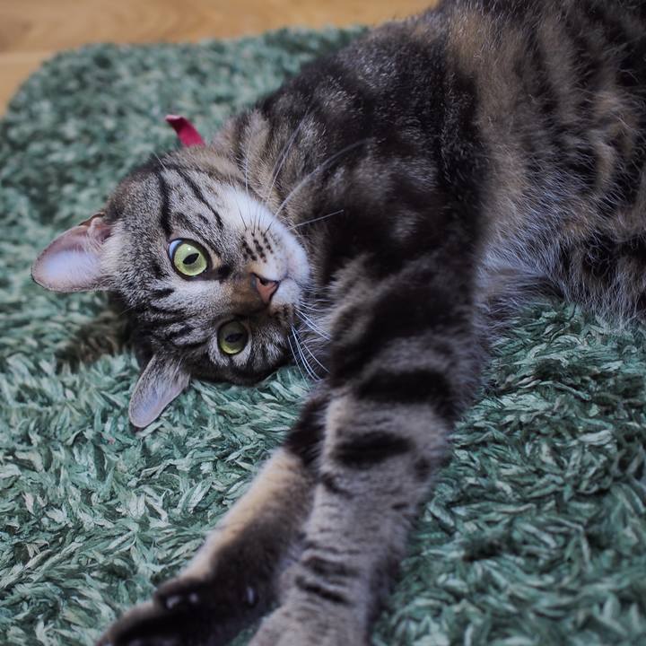 F81e9c37 e6a7 4b90 b3cc 60063a8adc40 1595598846775