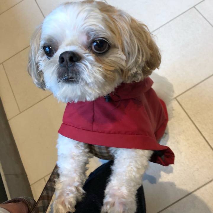 F81eaa33 6b2e 4c04 9bc4 7f9bedcbdd37 1537738318201