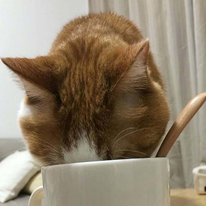 F81eacba 9023 484c b3b1 e1656d41024b 1516491694086