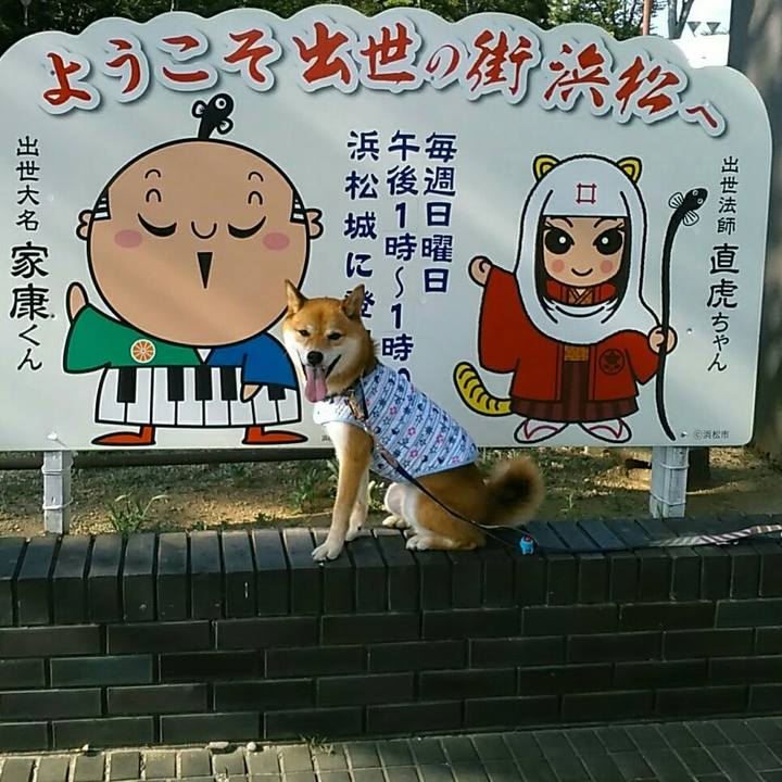 F81f8233 3782 4e21 800b f7fada906b40 1564918095909