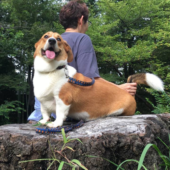 F81f8431 8790 4e12 9a73 8794ccc8b2e8 1630897832716