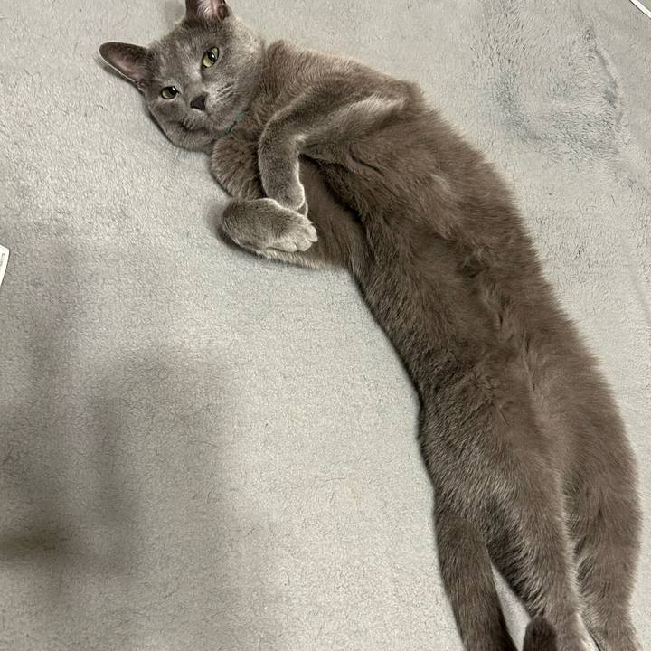 F81f917b 8c9f 495f 9902 2fc05fc6389b 1687009468983