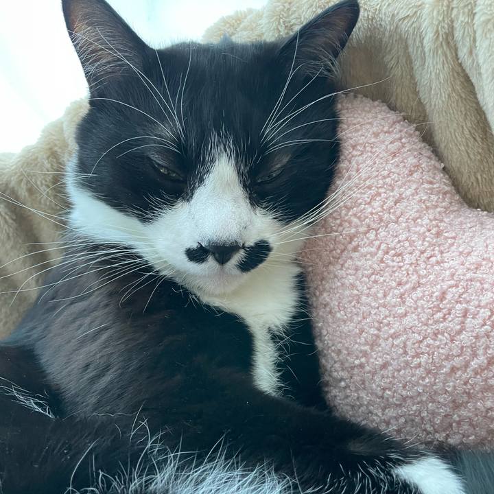 F81fb4ca 691b 4258 9297 471a0a276a22 1706508539916