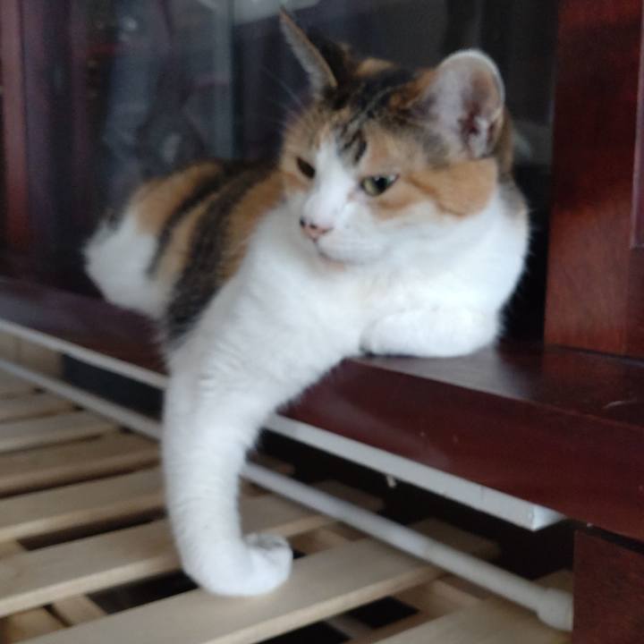 F81fc7da a4d8 4110 9dcf 5e880d51a9d4 1640757115867