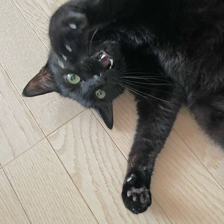 F820327c 0438 4232 9500 8d4d0621c7dd 1714349666424