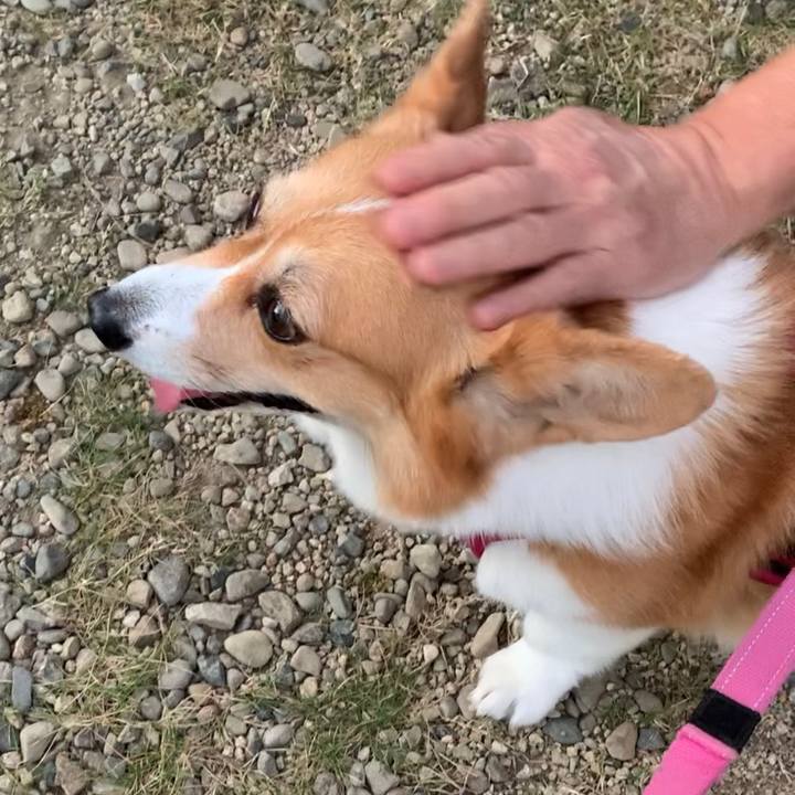 F8203b2d 723f 4cce b0e3 06cec04684eb 1666947294189