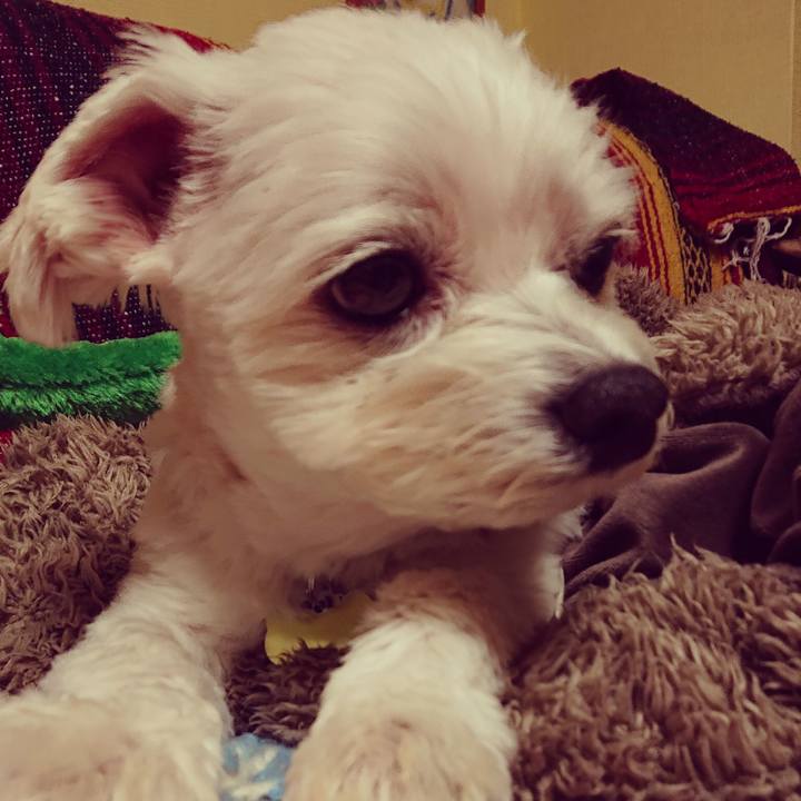 F8203ca7 04cf 431c bc48 dbcacbc0344b 1545126583880