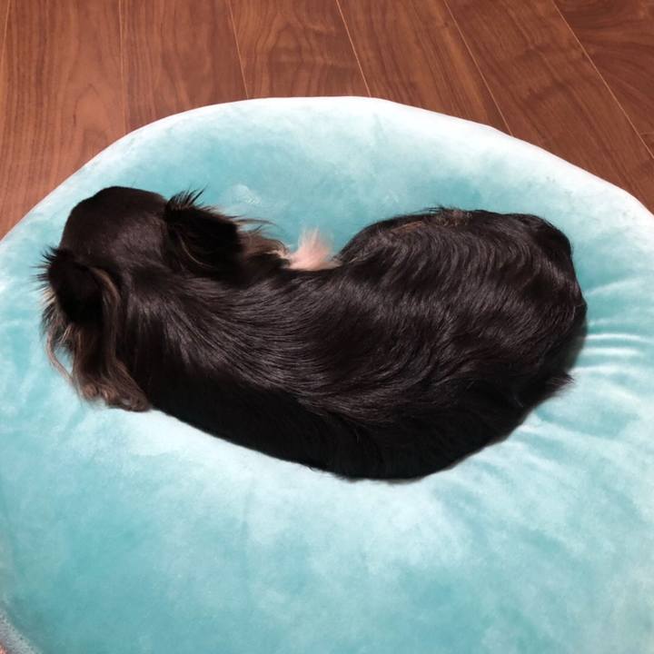 F820436d cf99 405d abbe 853c14f2dcdc 1594681487672