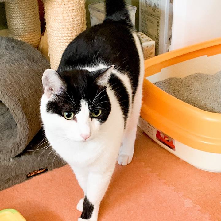 F8206cdf a28d 43d4 ad65 5080b438dca0 1547170184864