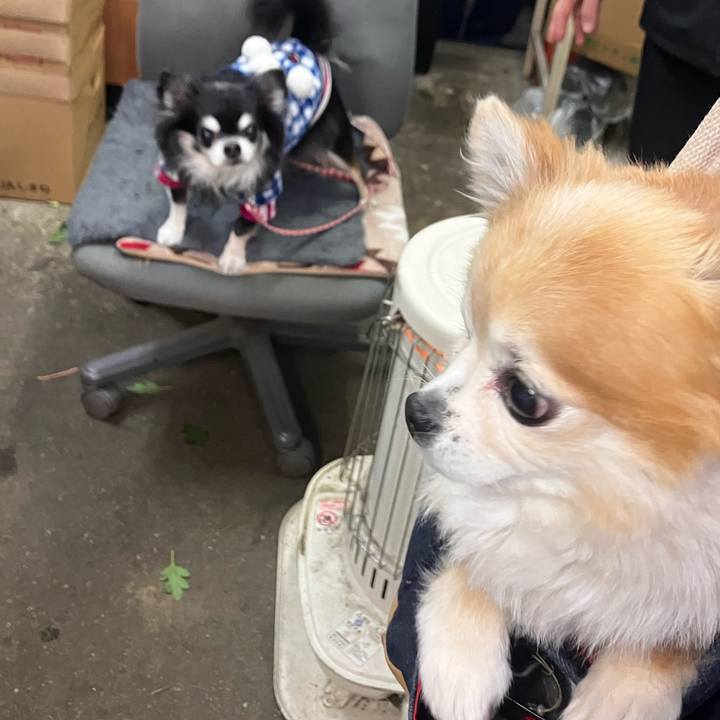 F8207974 ceec 4b00 a9ad 23d135098f82 1767093900144