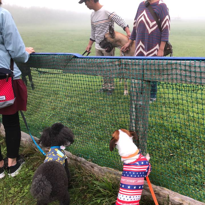 F8209128 8f7f 433c b2c5 9bd3506bb7d3 1567489401031