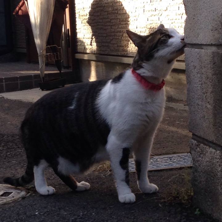 F8209f47 d7d3 43e9 8768 744f83778483 1509718669262