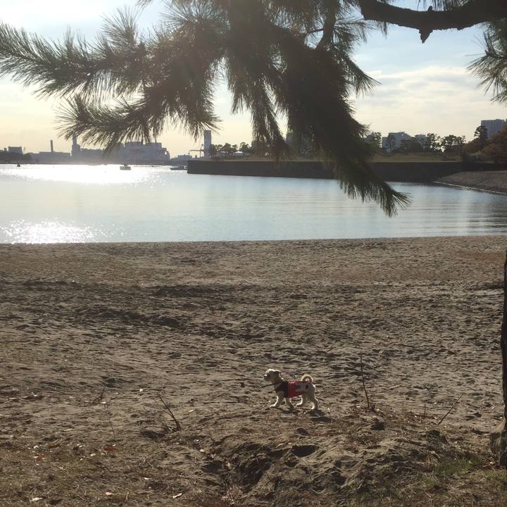 F820a943 ff87 4412 b9cc 1d381cbe96f3 1512474325802