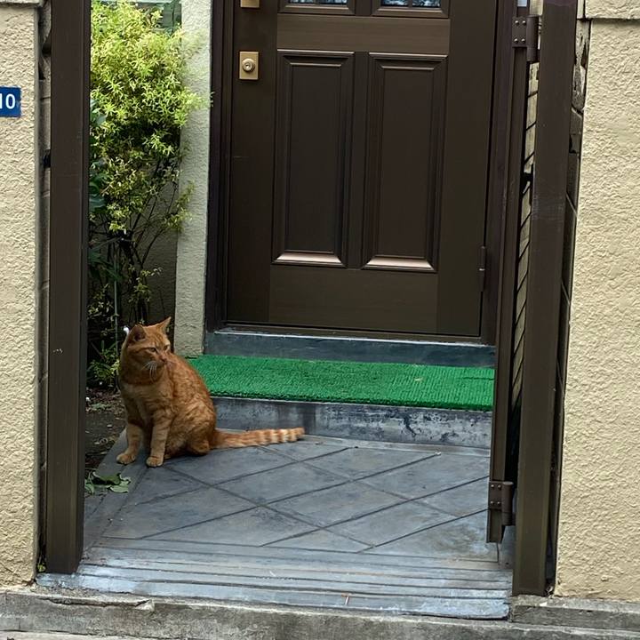 F820cddc 82c5 48f2 8f40 0ac1ece3ec8a 1662811933361