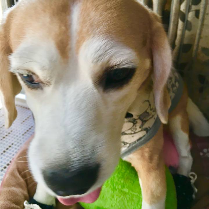 F820d9ec 7eef 4ef3 8b1d 3bbc42a02239 1761297313070