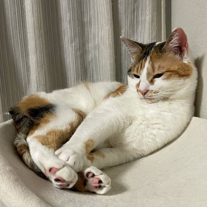 F820ebe6 4ea0 459a 9324 13b9791f0985 1619103573107