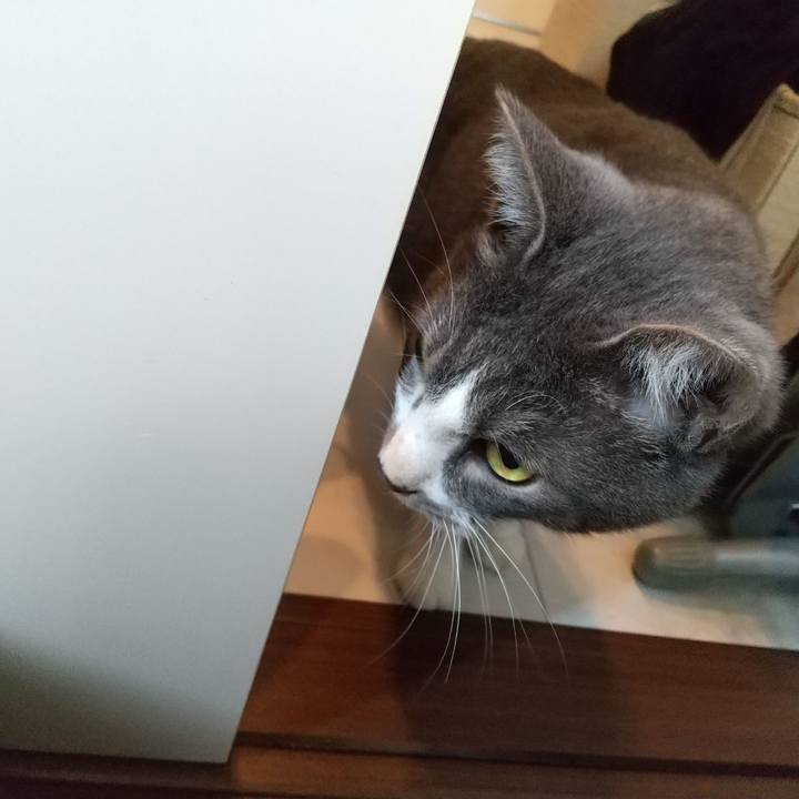 F820ecb1 627c 49f7 a181 20fcc0a6c860 1602570824128