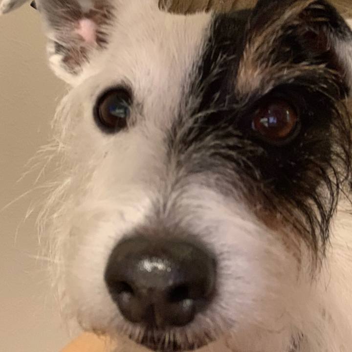 F820f772 2505 4370 8c79 8fac2f66c302 1702207779459