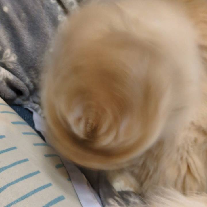 F82113e3 d3cd 423e a64b ab72da9fe924 1744549423957