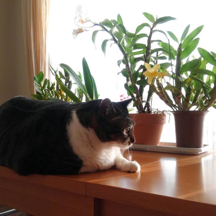 F8217549 7975 44c7 8f0e 9d0ebf9fcd15 1517179767733