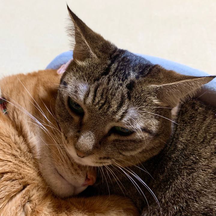 F82179a7 adff 4a75 9cba 259814aafd63 1571138437688