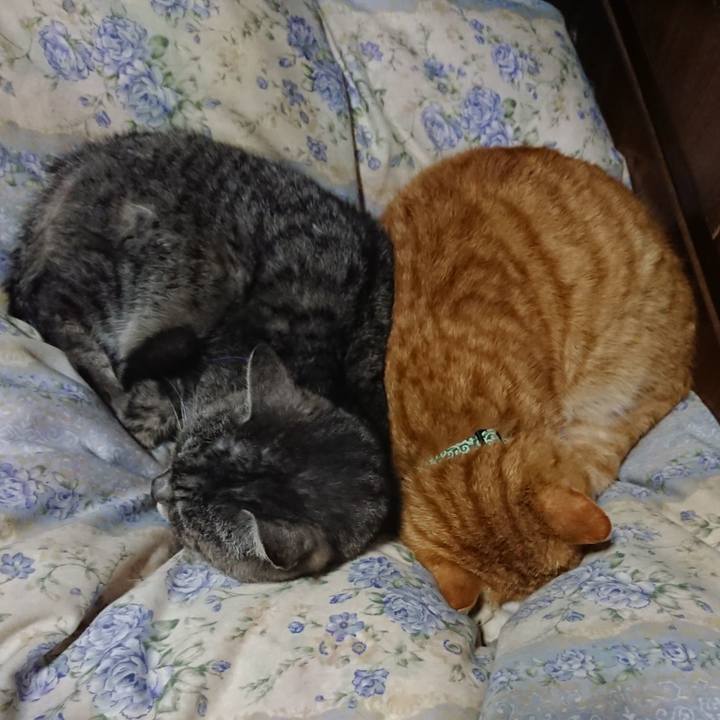 F82179d8 31b3 4807 977e 088de8ba8257 1582632906697