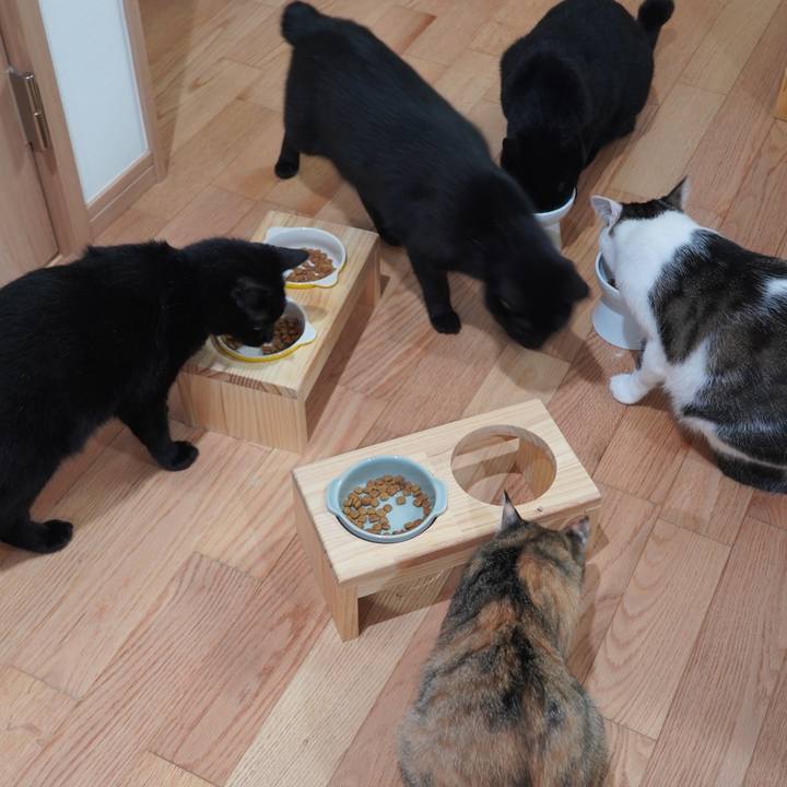 F821a5ed 9145 4571 bd95 f0279acdc289 1601452301836