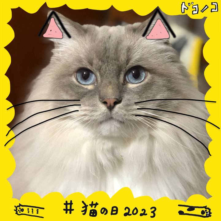 F821a94b 51bf 4f4f bbcd db42d42e9948 1677030360404