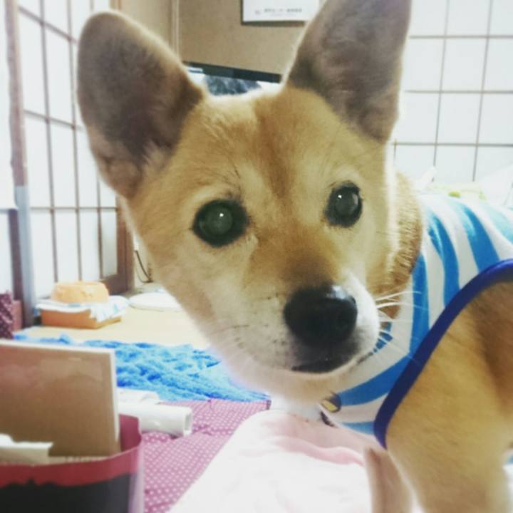 F821cc6b 55f5 4476 b9cd 2838af8c5686 1565705832398